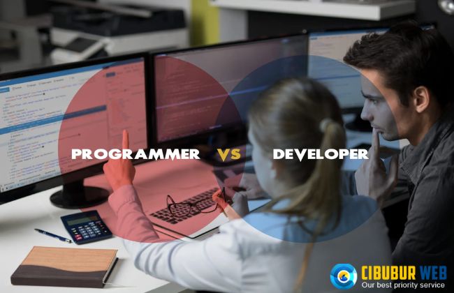 Perbedaan Programmer dan Developer